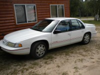 /album/park-n-sell/a1993-euro-dohc-lumina-jpg/